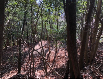 �u���O�i�j��/100����E��100����U�j