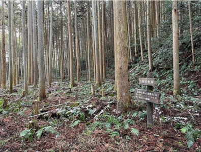 �u���O�i�j��/100����E��100����U�j