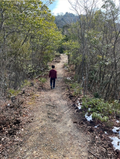 �u���O�i�j��/100����E��100����U�j