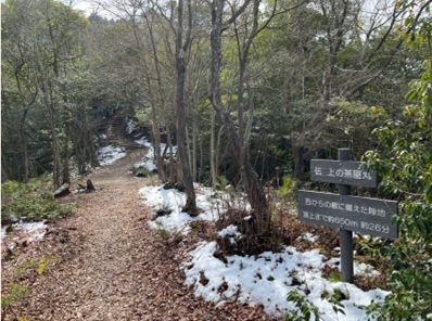 �u���O�i�j��/100����E��100����U�j