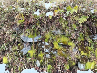 �u���O�i�j��/100����E��100����U�j