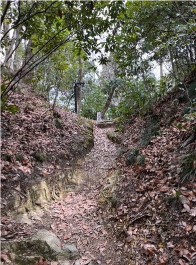 �u���O�i�j��/100����E��100����U�j