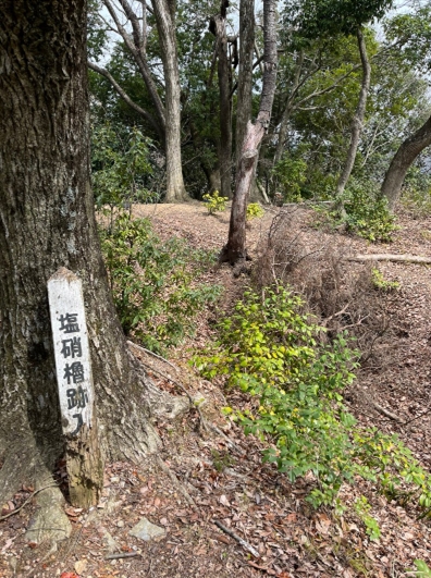 �u���O�i�j��/100����E��100����U�j