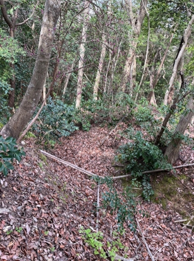 �u���O�i�j��/100����E��100����U�j