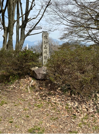 �u���O�i�j��/100����E��100����U�j