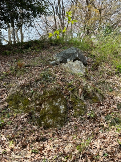 �u���O�i�j��/100����E��100����U�j