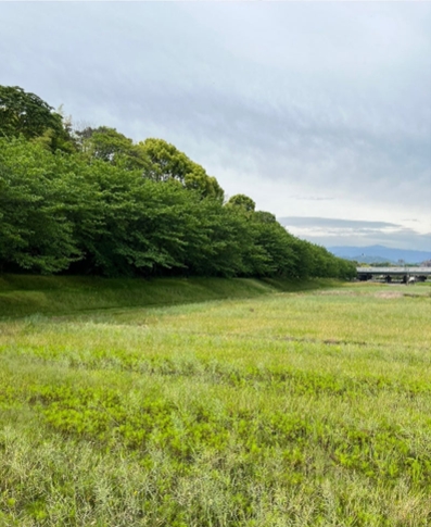 �u���O�i�j��/100����E��100����U�j