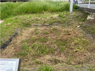 �u���O�i�j��/100����E��100����U�j